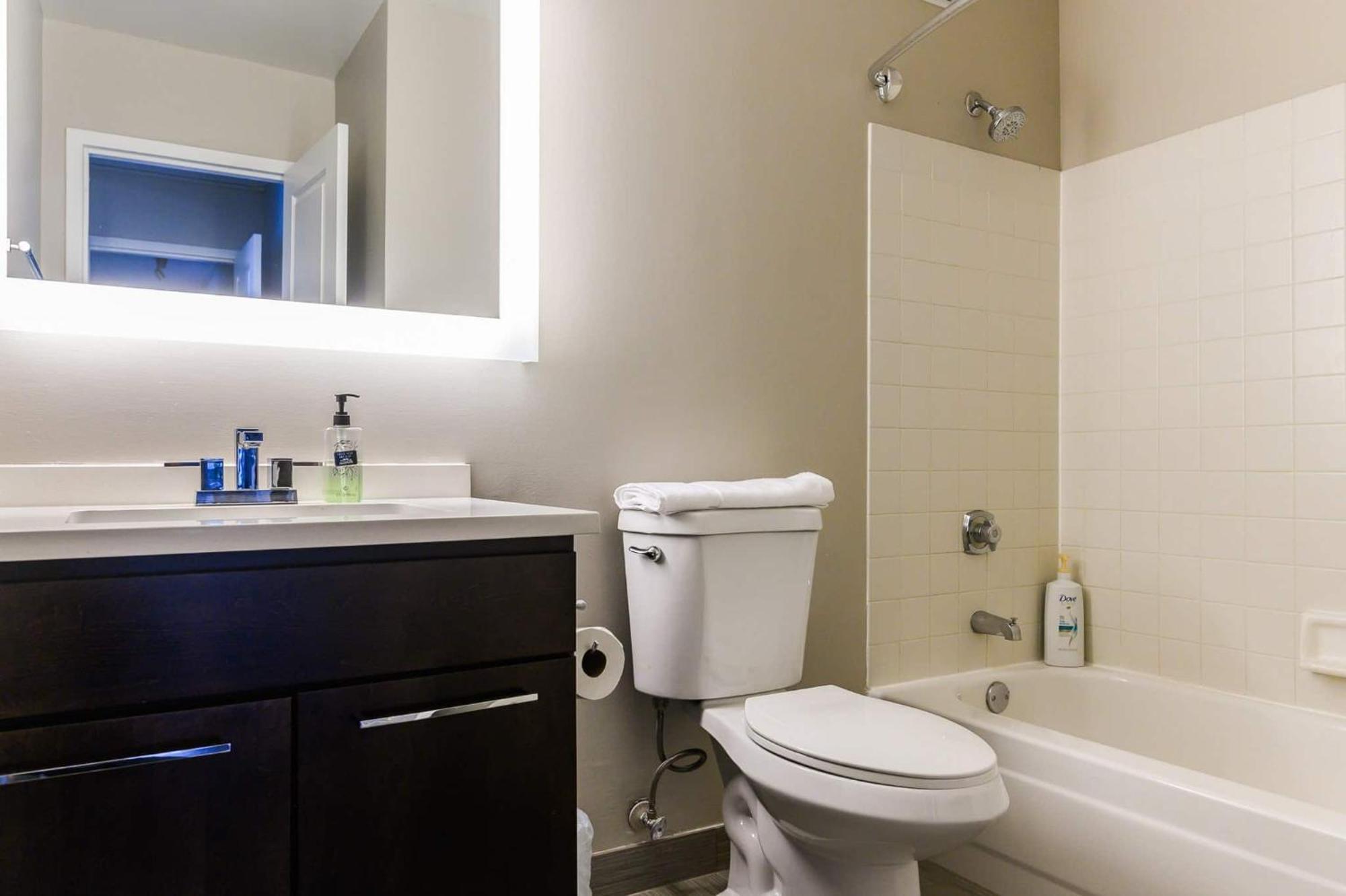 Apartment 3b/3b Skyloft With Navy Pier View Gym & Pool By Envitae